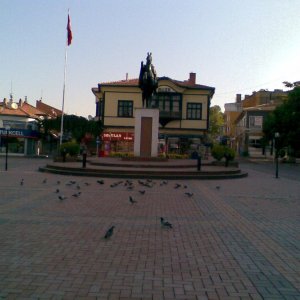26046162.jpg