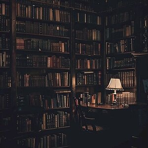 94cfbc7af0c7ae275a0b76ee9a101cd3.jpg