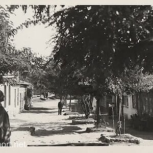 Kütahya - Tavşanlı