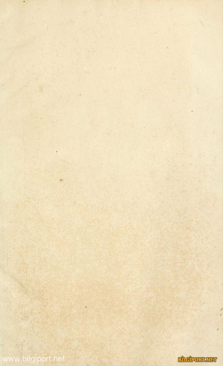 2c0d0b4c32e688dfdfb37099fd3e37e2.jpg